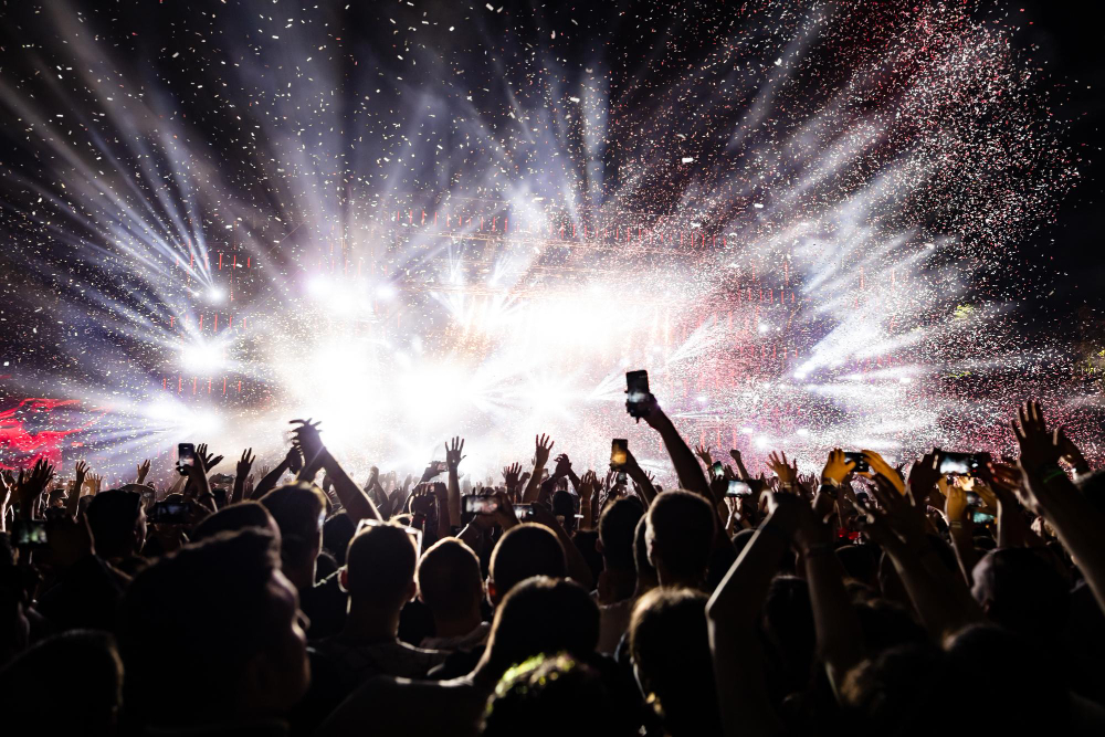 Concert or Music Festival